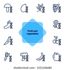 Fruit and vegetables line icon set. Set of line icons on white background. Grocery concept. Mushroom, carrot, cherry, apple. Vector illustration can be used for topics like eating, food, healthcare