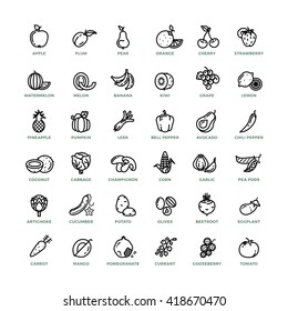 Fruit and vegetables outline vector icons. Fruit food apple and watermelon, vitamin vegetables mushroom organic natural illustration