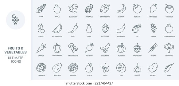 Fruit and vegetables thin line icons set vector illustration. Outline fresh food collection with apple strawberry banana tomato cherry coconut watermelon cabbage avocado potato olive pomegranate