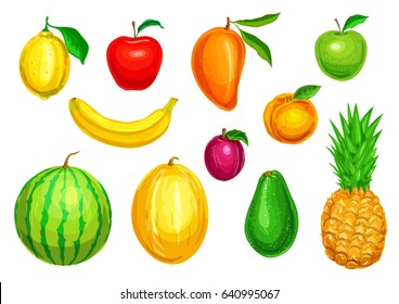 Fruit watercolor illustration set. Red and green apple, lemon, banana, pineapple, mango, watermelon, plum, melon and avocado tropical and garden fruit for diet dessert, fresh juice design