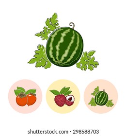 Fruit  Watermelon  on White Background , Set of Three Round Colorful Icons Persimmon , Lichee and  Watermelon , Vector Illustration