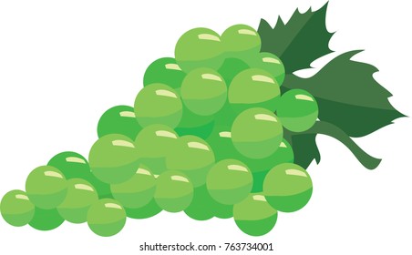 fruit of white grapes