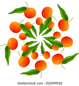 fruit wreath, realistic Mandarin