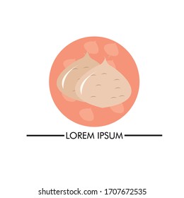 Fruit Yam bean, jicama vector illustration.