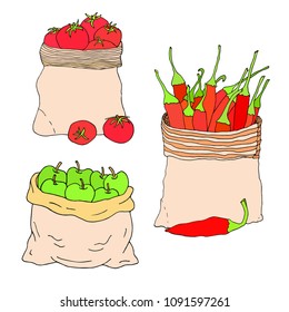 Fruites and Vegetables in bags. Apples, Tomatoes, Peppers. Buy local hand drawn sketch collection.