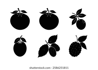 Fruits 6 set vector silhouette illustration