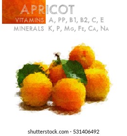 Fruits. Abstract design. Apricot. Vector eps 10.
