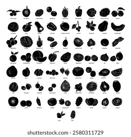 Fruits in a abstract draw design. Label or poster, price tag. Illustrations in black and white. 