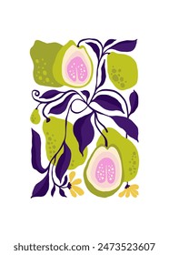 Frutas Elementos abstractos. Composición alimentaria y saludable. Moderno estilo minimalista Matisse de moda. Cartel de frutas, inviten. Disposiciones de Vector para diseño de tarjeta de felicitación o invitación