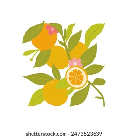 Fruits abstract elements. Food and healsy composition. Modern trendy Matisse minimal style. Fruits poster, invite. Vector arrangements for greeting card or invitation design