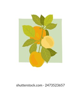 Fruits abstract elements. Food and healsy composition. Modern trendy Matisse minimal style. Fruits poster, invite. Vector arrangements for greeting card or invitation design