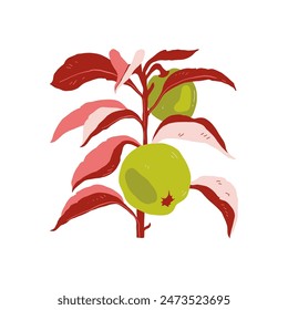 Fruits abstract elements. Food and healsy composition. Modern trendy Matisse minimal style. Fruits poster, invite. Vector arrangements for greeting card or invitation design