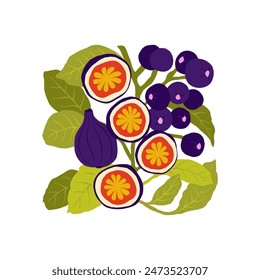 Fruits abstract elements. Food and healsy composition. Modern trendy Matisse minimal style. Fruits poster, invite. Vector arrangements for greeting card or invitation design