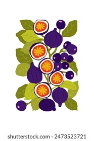 Frutas Elementos abstractos. Composición alimentaria y saludable. Moderno estilo minimalista Matisse de moda. Cartel de frutas, inviten. Disposiciones de Vector para diseño de tarjeta de felicitación o invitación