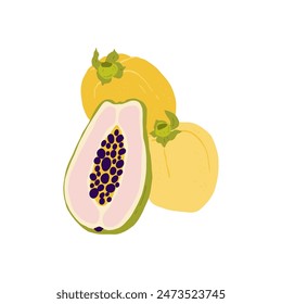 Fruits abstract elements. Food and healsy composition. Modern trendy Matisse minimal style. Fruits poster, invite. Vector arrangements for greeting card or invitation design