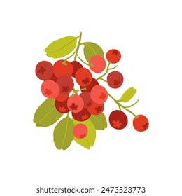 Fruits abstract elements. Food and healsy composition. Modern trendy Matisse minimal style. Fruits poster, invite. Vector arrangements for greeting card or invitation design