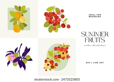 Fruits abstract elements. Food and healsy composition. Modern trendy Matisse minimal style. Fruits poster, invite. Vector arrangements for greeting card or invitation design