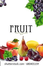 Fruits, apricot, peach, apple, pear, cherry, plum, grapes, on white background, vector, illustration. Sticker for a jar.