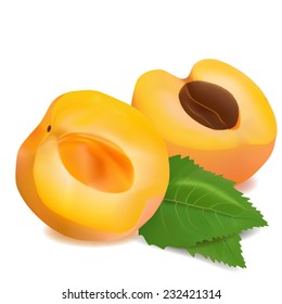 Fruits apricots with green leafs vector icon