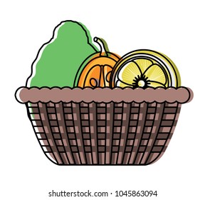 fruits basket icon