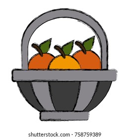fruits basket symbol icon vector illustration graphic design
