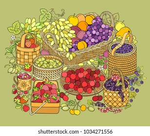A lot of fruits and berries in baskets. Cartoon vector hand drawn abstract still life illustration