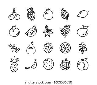 Fruits and berries big set. Hand drawn line vector icon. 