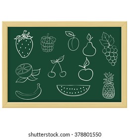 Fruits and berries. chalk sketch. Vector illustration isolated on white background.