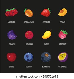 Fruits And Berries Colorful Vector Drawing Illustration Set. Cranberry, Strawberry, Apricot, Bramble, Cowberry, Mango, Raspberry, Cherry, Bilberry, Blackberry, Passionfruit