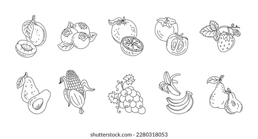 Fruits and berries doodle set Vector black and white illustration isolated on a white background