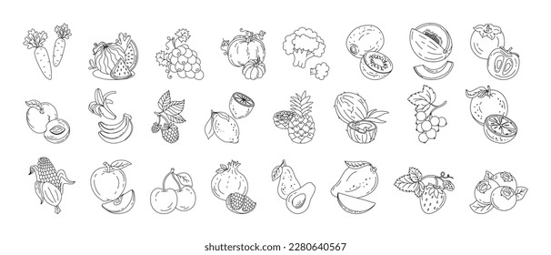 Fruits and berries doodle set Vector black and white illustration isolated on a white 