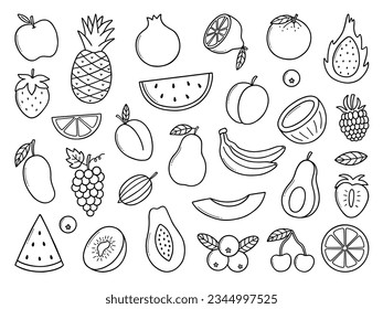 Fruits and berries doodle set. Vegetarian food, natural tropical fruit, citrus in sketch style.  Hand drawn vector illustration isolated on white background.