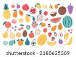 Fruits, berries and exotic fruits collection. Natural organic nutrition. Healthy food, dietetics products, fresh vitamin grocery products. Vector illustration in flat style