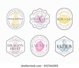 Fruits and Berries Frame Badges or Logo Templates Collection. Hand Drawn Pineapple, Lychee, Kiwano, Currant and Elderberry Sketches with Typography and Borders. Vintage Premium Emblems Set. Isolated.