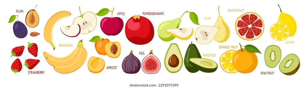 Fruits and berries. Fresh Natural organic food for logo, menu, banner, farm product design, market label, vegetarian shop, holiday greeting card and invitation, summer party. Ingredients for cooking.