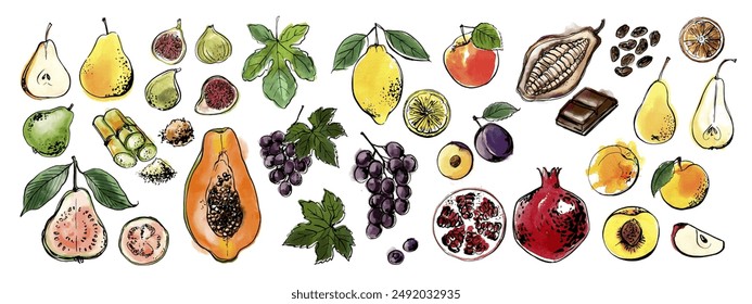 Fruits and berries. Grapes, lemon, figs, papaya. Black ink drawing on a white background.	