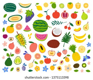 Fruits and berries hand drawn illustrations set. Exotic delicacy slices. Vegetarian food vector drawings pack. Natural dessert isolated cliparts. Juicy dessert, vitamin diet, organic meal