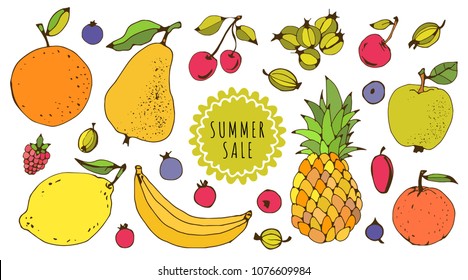 Fruits, berries. Hand drawn isolated on white background set