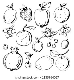 Fruits, berries hand drawn isolated on white background. Sketch design element set