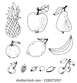 Fruits, berries hand drawn set. Line art. Isolated on white background