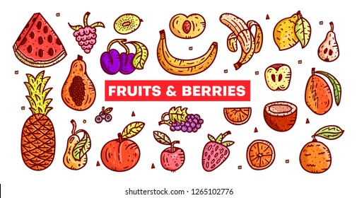 Fruits and berries. Hand drawn vector illustrations. Isolated elements