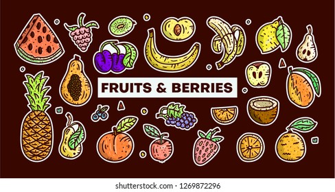 Fruits and berries. Hand drawn vector illustrations. Isolated elements. Sticker collection