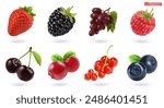 Fruits and berries, high quality realistic vector set. Strawberries, blackberries, grapes, raspberries, cherries, cranberries, currants, blueberries