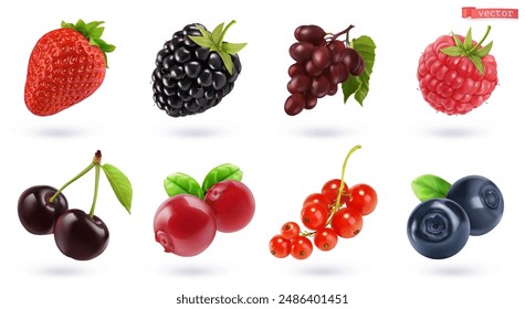 Fruits and berries, high quality realistic vector set. Strawberries, blackberries, grapes, raspberries, cherries, cranberries, currants, blueberries