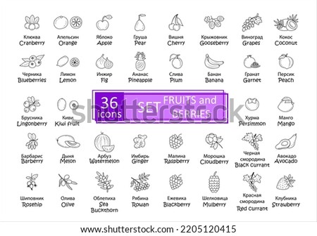Fruits and berries icons set. Simple concise images 36 of fruits and berries with names in Russian and English. Collection of icons in outlines. Vector, eps