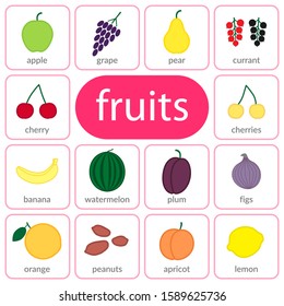 Fruits and berries, objects icons set, isolated on white background. Summer fresh food. Juicy tasty healthy dessert. Vitamin organic products nutrition. Symbol of health, diet. Vector illustration