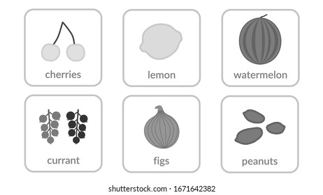 Fruits and berries, objects icons set, isolated on white background. Summer fresh food. Juicy tasty healthy dessert. Vitamin organic products nutrition. Symbol of health, diet Vector illustration