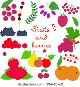 Fruits and berries on a transparent background big size
