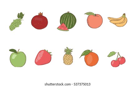 Fruits and berries on a white background. Sketch.