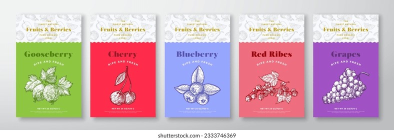 Fruits and Berries Pattern Label Templates Set. Vector Packaging Design Layout Collection. Modern Typography Banner with Hand Drawn Gooseberry, Grapes and Cherry Sketches Background. Isolated